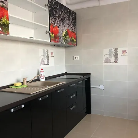 Apartament De Lux Viva City Apartment *
